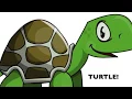Learn Python Coding with Turtle