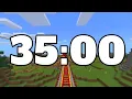35 MINUTE TIMER