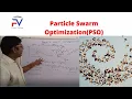 Particle Swarm Optimization PSO