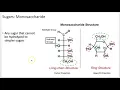 Biochemistry 101 Carbohydrates Lecture 6 of 12