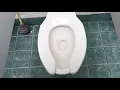 AS Toilet at Menard s