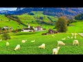 Lagu Switzerland countryside life - Relaxing walk in Switzerland's most beautiful villages