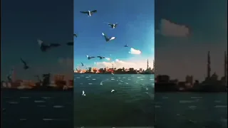 انت روحي وكل عمري ونور حياتي حالات واتس كلثوميات اغاني اكسبلور منوعات 