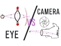 Eye vs Camera GCSE Physics Doodle Science
