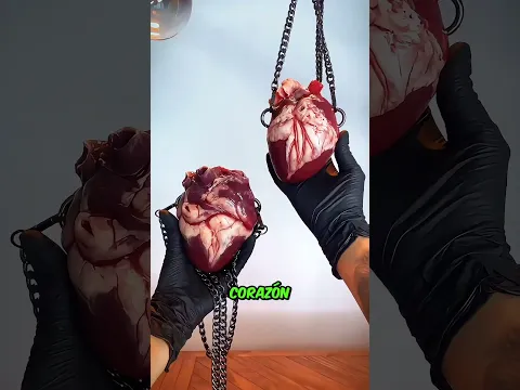 ¡3 Carteras MÁS EXTRAÑAS del Mundo! 😱 La #3 No Tiene Sentido