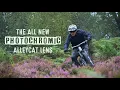 Download Lagu Melon Optics Alleycat Photochromic MTB Riding Sunglasses - Olly Wilkins