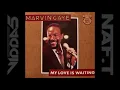 MARVIN GAYE  my love is waiting