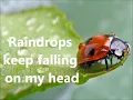 BJ Thomas - Raindrops Keep Falling On My Head [LYRICS]