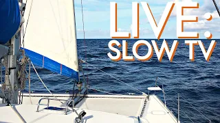 LIVE SLOW TV – Sailing the Caribbean Sea with Starlink [RED SEAS]