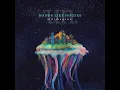 Introduced Species - Hands Like Houses
