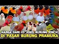Download Lagu UPDATE JENIS BURUNG FINCH..! HARGA DIMULAI DARI 5 RIBUAN DI PASAR BURUNG PRAMUKA