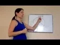 Saxon Math 6th Grade - Lesson 25