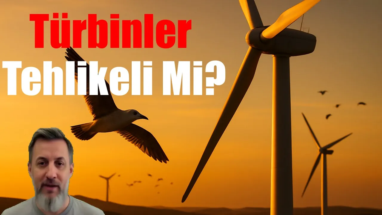 Rüzgâr Türbinleri ve Kuşlar:  Çevre Dostu Mu?