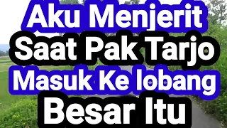 romantic short story mr tarjo my familys driver who has 2 wives