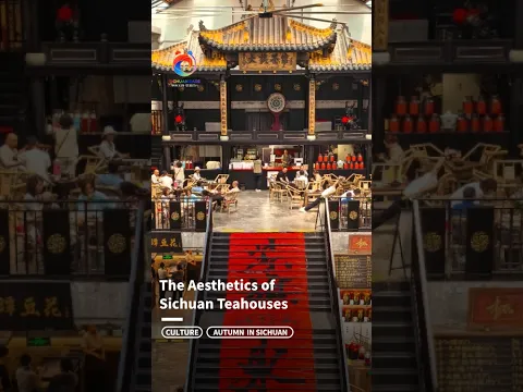 If you’re looking for authentic street-life aesthetics, it has to be Sichuan’s teahouses. 🍵| Sichuan