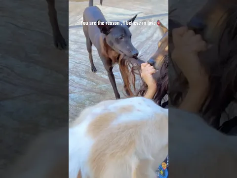@simran_stray_foundation 🫀