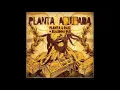 Planta e Raiz - Pra Poucos ( DUB)