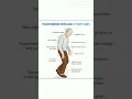 Lagu Parkinson’s Disease Symptoms NCLEX Review: Tremor, Rigidity \u0026 More