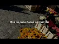 Darviin - Ojos de girasol (Sub. Español)