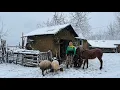 Download Lagu Snowy Day in the Village: Baking Lavash Bread with Grandma