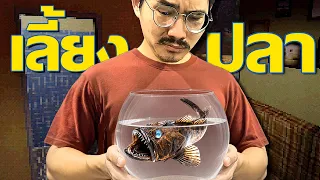 เกมเลี้ยงปลาธรรมดา แค่อย่าลืมให้อาหารมัน | Feed the Fish