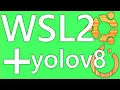 Install yolov8 on WSL2 with Pytorch for GPU and miniconda