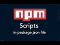 Scripts in package json file