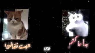 ضحكت فقالوا الا تحتشم   تصميمي  دندنها
