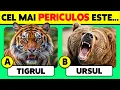 Lagu 🧠 Cât De Bine Cunoști ANIMALELE? 🦁🐻🐳 45 De Întrebări Despre Animale