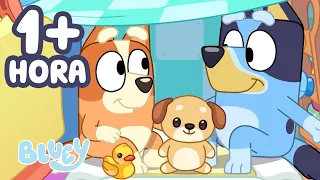Construyendo una casa 🏠💙 | Diversión y juegos con Bluey | Bluey - Español Canal Oficial