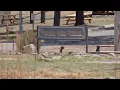 Ruidoso Municipal Schools prepares for school year during monsoon season