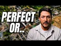 Is Northville Michigan the PERFECT Place to Live