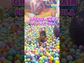 Seneng banget bocil kalo udah mandi bola