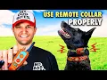 E collar training for to train a dog using the remote collar