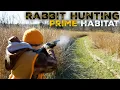 Kentucky Rabbit Hunting with a Wildlife Biologist - Great Habitat