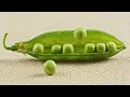 10 Years of Fresh Awareness Ad Short Version