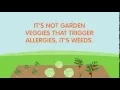 Summer Allergies - Check Your Local Allergy Forecast Before Gardening ZYRTEC Allergy