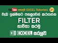 Excel Filters MS Excel Sinhala Tutorials - 31