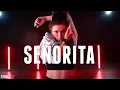 Shawn Mendes, Camila Cabello - Señorita - Choreography by Erica Klein