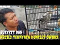 Lagu BUSYETT DAH ! KECIL2 SUARA PEDES, VOL GLEDEK, JARANG ADA SPEK YG SEPERTI INI