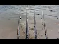 Download Lagu Mancing Mania Spot Gedangan || Waduk Selorejo Ngantang WSN #05