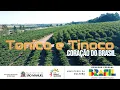 Download Lagu CLIPE OFICIAL HOMENAGEM A TÔNICO E TINOCO DUPLA CORAÇÃO DO BRASIL #agro #sertanejo #tonicoetinoco