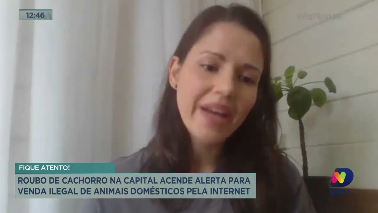 Caso Maru: Polícia localiza cachorro e prende duas pessoas