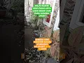 Download Lagu INILAH DZIKIR YANG PAHALANYA LEBIH BESAR DARI PADA GUNUNG UHUD  🤲🤲🤲 #VIRAL