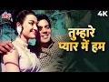 Download Lagu Tumhare Pyaar Mein Hum Shikar Karne Ko Aaye 4K | Mohammed Rafi | Dharmendra, Asha Parekh | Shikar