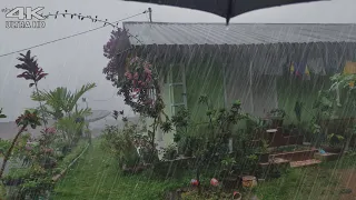 المشي تحت المطر الغزير والعواصف الرعدية المطر الغزير في قرية جميلة أصوات المطر للنوم 