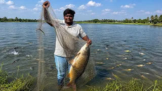 ஊரான் வீட்டு குட்டையில் மீன் வேட்டை|Big Fish Catching|Fish Hunting with Fishing Net|VFS|Suppu