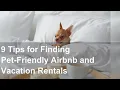 9 Tips for Finding Pet-Friendly Airbnb and Vacation Rentals