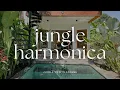 Download Lagu Jungle Harmonica : Relax in Style at Jungle Villa