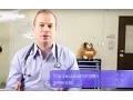 Vaccines Boosters and The Benefits of Titer Testing for Dogs and Cats Vet Guide